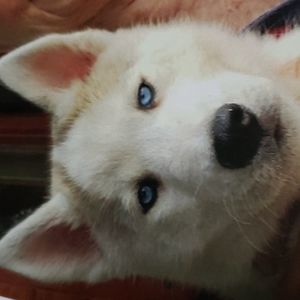 Meet your Posher, Adriana